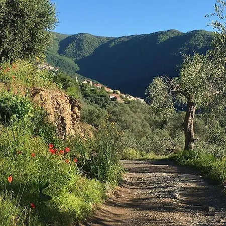Casa Del Lupo * Molini (Liguria)