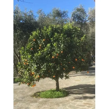 Apartamento Casa Del Lupo