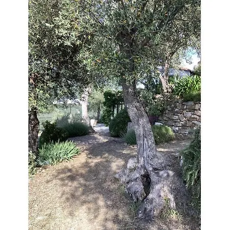Casa Del Lupo