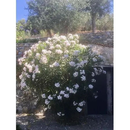 Casa Del Lupo Apartamento Molini (Liguria)